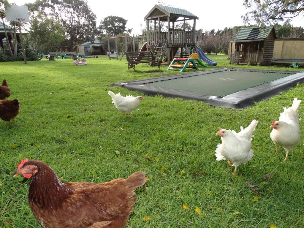 Ripples N Tonic Farmstay Ventnor Kültér fotó